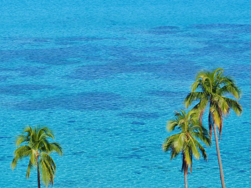lagon-moorea