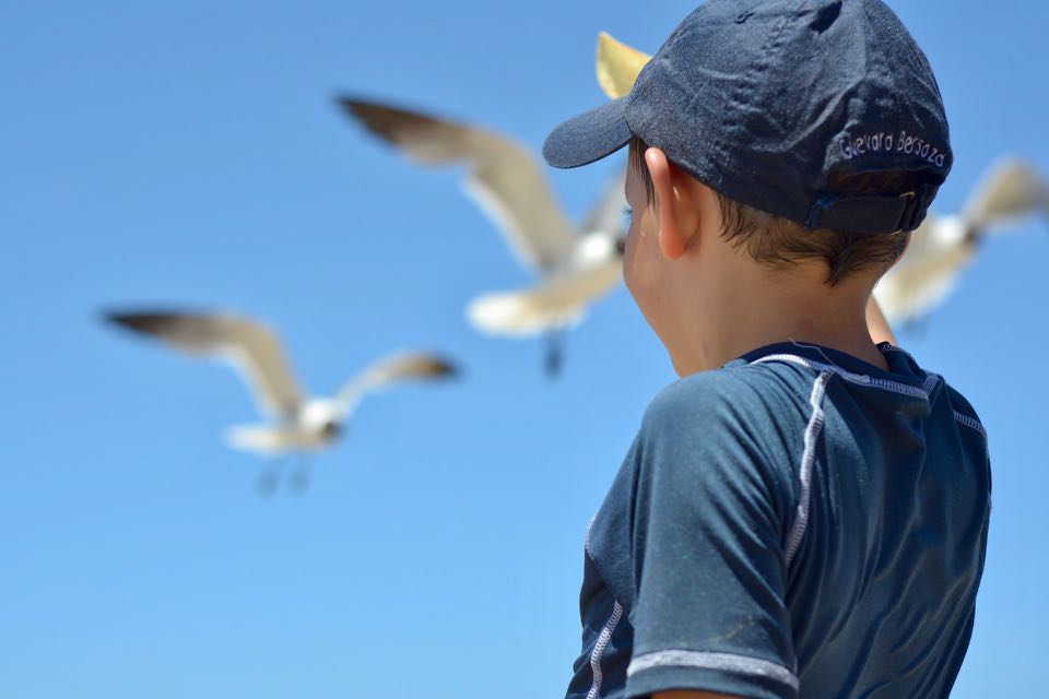 que faire a marseille avec des enfants