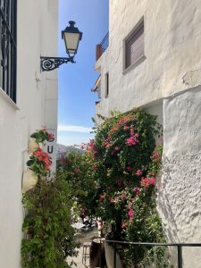 circuit andalousie : frigiliana