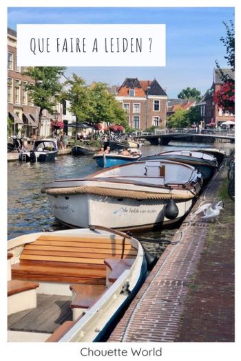 que faire a leiden
