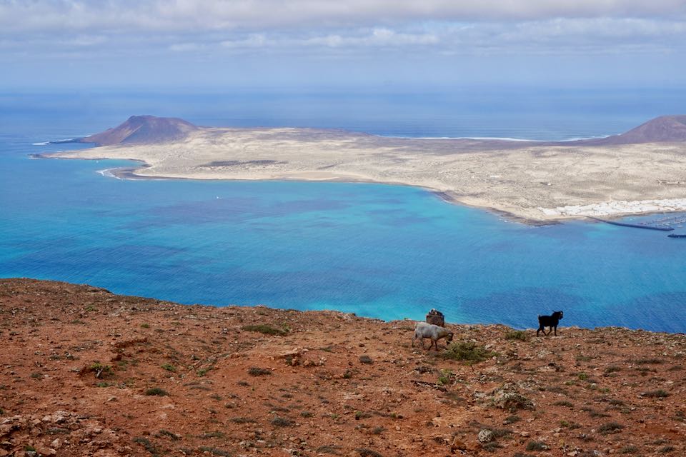que faire a lanzarote