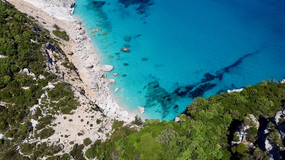 que faire a olbia