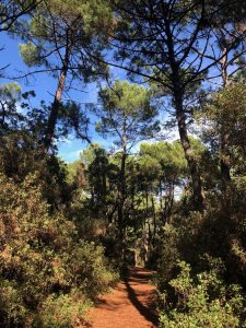 5 raisons de passer ses vacances dans le Var