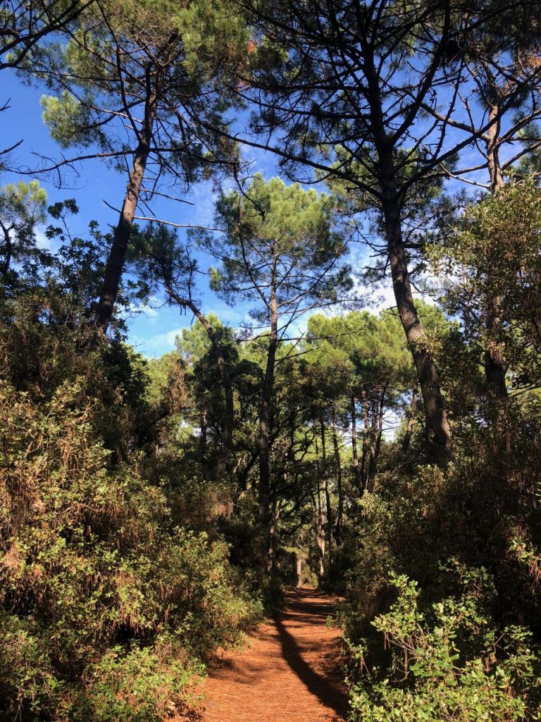 5 raisons de passer ses vacances dans le Var