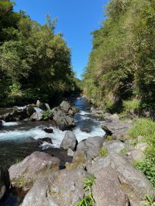 visiter la réunion en 15 jours
