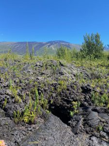 15 jours à la Réunion