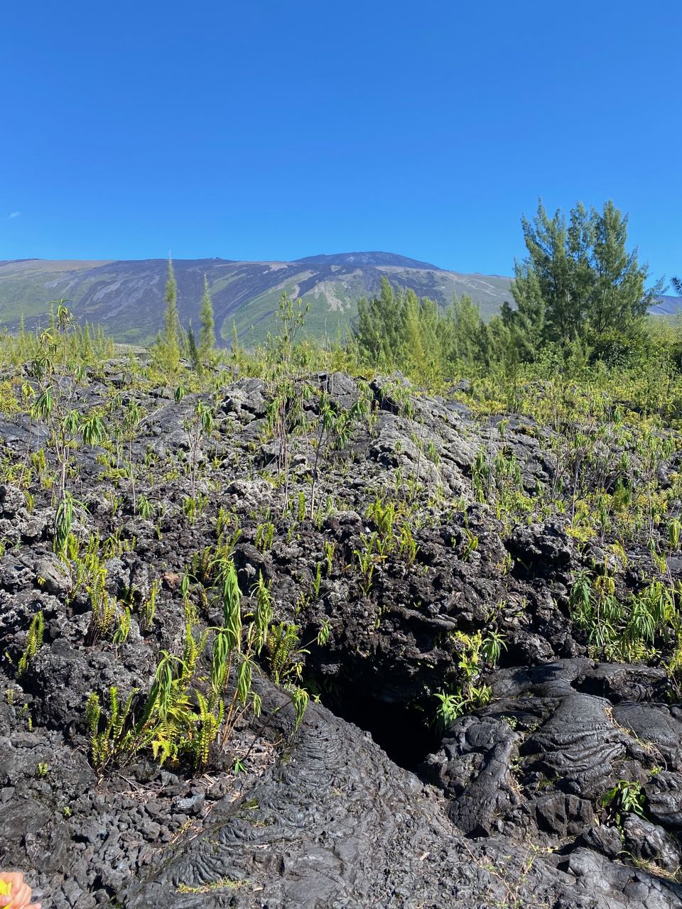 15 jours à la Réunion