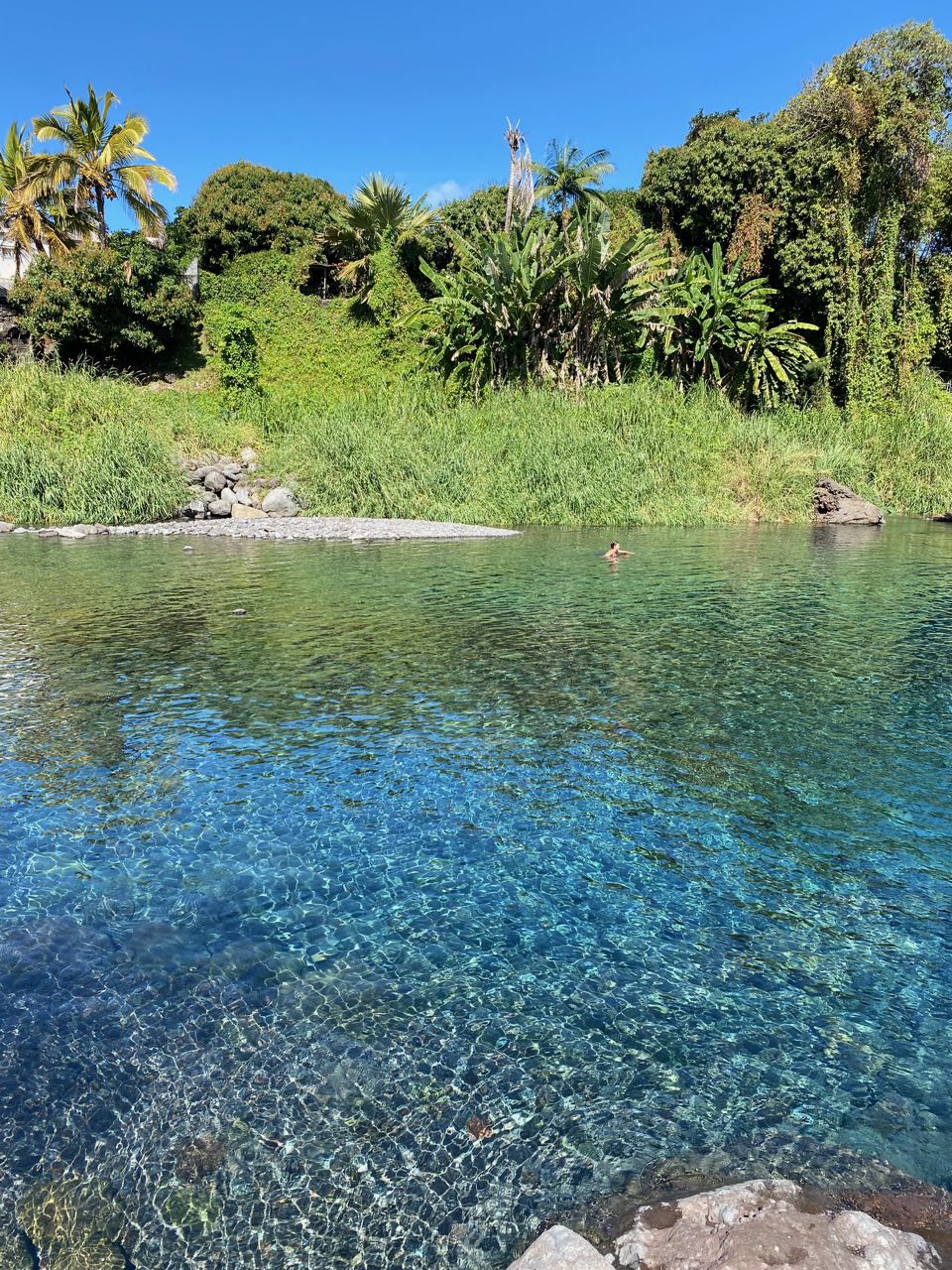 bassin bleu réunion