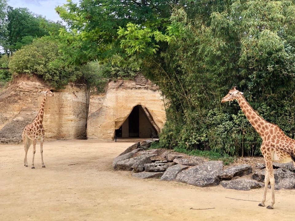 zoo-troglo