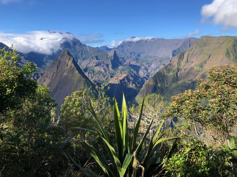 15 jours à la Réunion