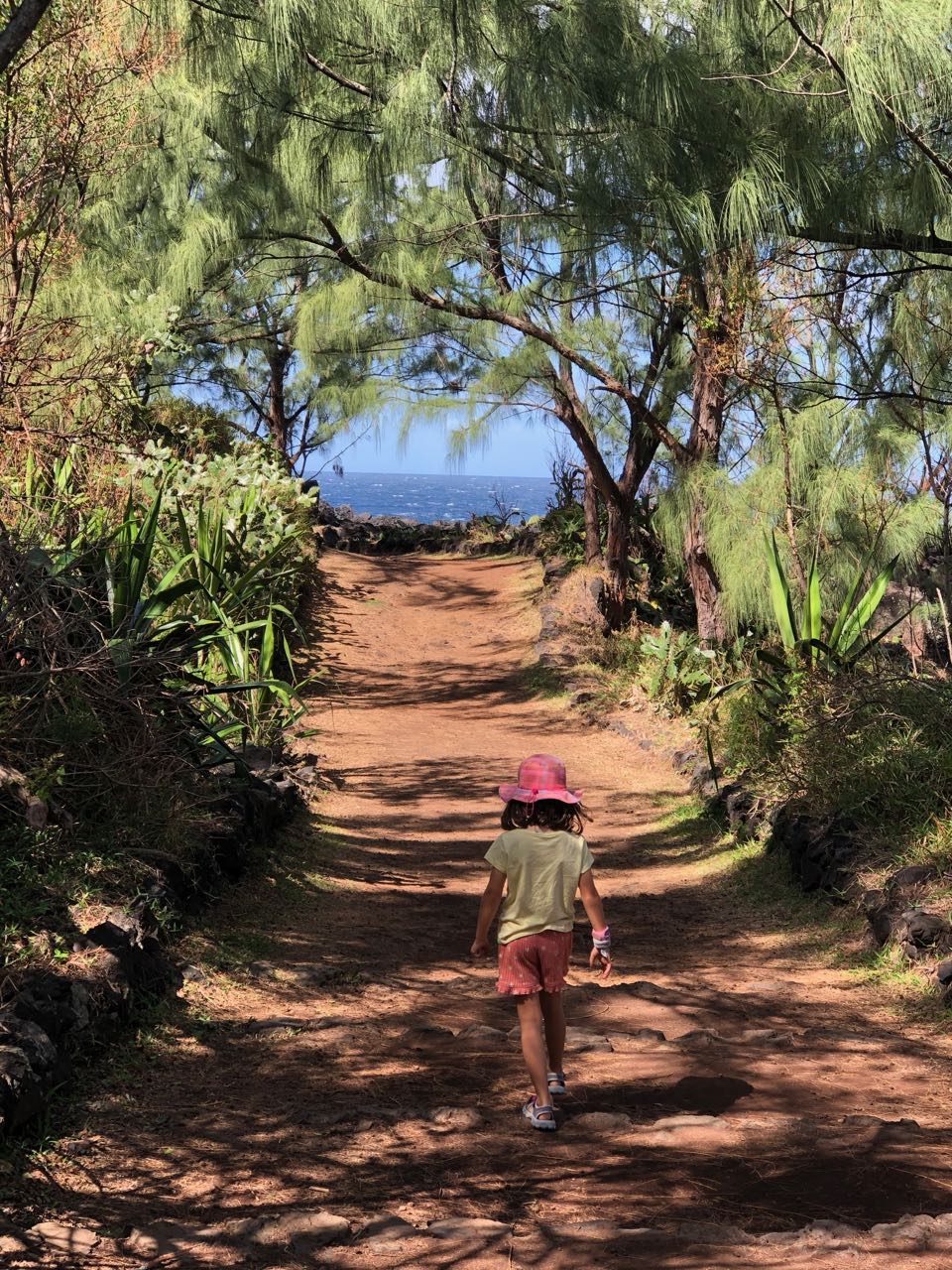 2 semaines à la réunion