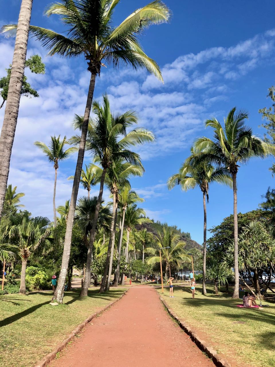 2 semaines à la réunion