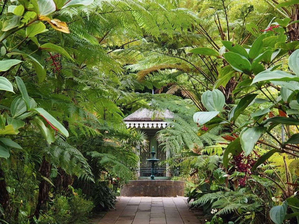 15 jours à la Réunion