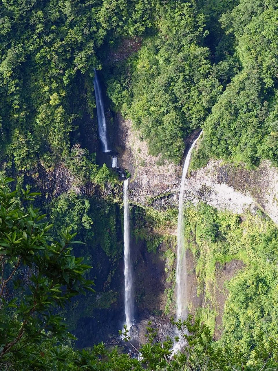 takamaka