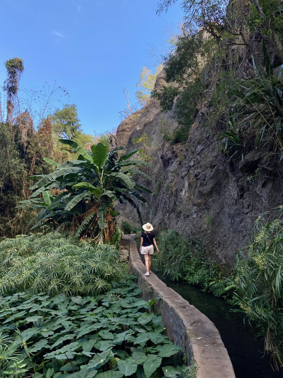 15 jours à la Réunion