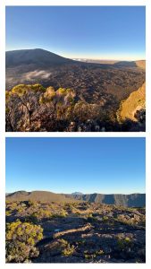 15 jours à la Réunion