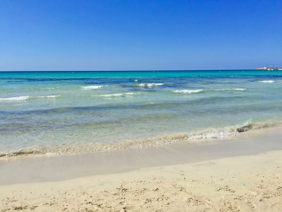 Quelles sont les plus belles plages de Majorque ? Du nord au sud de l’île, voici ma sélection des plus belles plages de Majorque : Es Trenc, Cala Formentor, Coll Baix... et bien d'autres ! TOP 11 plus belles plages de Majorque Es Trenc ♥ Cala Pi ♥ Cala Des Moro Cala Llombards ♥ Cala Figuera Cala Agulla Cala Mesquida Playa Coll Baix ♥ Playa de Muro Alcudia Cala Formentor Sa Calobra Les plus belles plages de Majorque : plages de sable fin et criques cristallines Majorque est réputée pour être l'une des plus belles îles des Baléares ! Et après avoir passé 1 semaine à Majorque à la découvrir, je peux vous dire que cette réputation est amplement méritée De prime abord, j'avais un peu peur du côté bétonné de l'ile, que cela gâche le paysage balnéaire et que l'on n'arrive pas à trouver de belles plages à Majorque ! Mais, si une portion de son littoral est effectivement flanquée de barres d'immeubles peu esthétiques, la grande majorité des côtes est restée sauvage et l'on y trouve de jolies plages vierges de toute construction et de belles baies et criques plus ou moins confidentielles ! Alors, une chose est sure c'est que oui on trouve de très belles plages à Majorque ! Si vous cherchez une belle destination balnéaire, l'ile comblera toutes vos attentes avec pas moins de 300 plages disséminées le long de ses côtes ! Voici donc ma sélection des plus belles plages de Majorque, une sélection évidemment personnelle que je vous invite à compléter en commentaire si vous le souhaitez. Vous y retrouverez plutôt des plages tranquilles, où il n'y a pas ou peu de construction, où la végétation est présente. Vous l'aurez compris les stations balnéaires animées et leurs fronts de mer bétonnés où s'intercalent restaurants, boutiques souvenirs et boites de nuit, ce n'est pas trop mon truc ;) Où sont les plus belles plages de Majorque ? Entre grandes plages de sable fin et petites criques, l’ile offre un choix varié ! Les plus belles plages de Majorque se situent sur la côte sud-est et la côte nord (plus préservées). Elles sont relativement faciles d'accès mais il vous faudra tout de même être véhiculés pour les découvrir. Certaines sont accessibles uniquement à pied ou en bateau. D'ailleurs, pour admirer les côtes et trouver les plus belles plages et criques de Majorque, je vous conseille la location de catamaran. C’est une superbe façon de visiter l’ile et de dénicher des pépites moins fréquentées ! → Lire aussi : Que faire à Majorque ? 1 semaine à Majorque : itinéraire Quelles sont les plus belles plages de Majorque ? Les plus belles plages du sud de Majorque Es Trenc ♥ On commence en beauté ce classement des plus belles plages de Majorque avec la magnifique plage de Es Trenc. C'est l'une des plages les plus connues de l'ile et elle est appréciée aussi bien par les touristes que par les locaux ! Elle est située au sud de Sa Rapita. C'est une grande plage sauvage de 2km de sable fin blanc, baignée par une eau turquoise et peu profonde ! Il ne lui manque que les cocotiers pour être la parfaite carte postale des Caraïbes ;) Certaines zones sont totalement désertes, d'autres accueillent quelques bars/restaurants de plage et quelques transats à louer. Il y a également quelques zones naturistes. Dans les environs immédiats, ne manquez pas la visite des salines d'Es Trenc ! Cala Pi ♥ Située à une trentaine de minutes au sud de Palma, la Cala Pi est une petite crique au sable doré encaissée entre 2 falaises couvertes de pins. Son environnement est exceptionnel ! Sous l'eau, le spectacle continue puisque c'est un très bon spot de snorkeling. Pour y accéder il faut descendre des marches assez raides mais le panorama tout au long de la descente devrait vous motiver ;) Calo Des Moro Voilà une crique toute petite par sa taille mais pas par sa beauté !! Située au sud est de l'ile, près de Santanyi, la Calo Des Moro abrite l'une des plus belles plages de Majorque ! Vous y trouverez un cadre paradisiaque, très sauvage : de hautes falaises, des rochers, des pins, du sable blanc... L'accès y est un peu plus difficile, avec une descente assez raide mais cela vaut le coup ! Cala Llombards ♥ Non loin de la Calo Des Moro, se trouve une autre pépite qui mérite de figurer dans cette sélection des plus belles plages de Majorque : la Cala Llombards. Les paysages sont assez similaires : une baie abritée entre de hautes falaises recouvertes de pinède. Une sorte de fjord méditerranéen de toute beauté ! Si vous en avez l'occasion, découvrez cette crique en bateau, le paysage se dévoile ainsi sous son meilleur profil ! L'eau est translucide et calme, propice à la baignade et au snorkeling. Les plus aventureux pourront aussi plonger depuis les falaises, les locaux s'en donnent à coeur joie ! Depuis la plage partent plusieurs sentiers de randonnées. L'un d'eux mène à un belvédère qui offre une vue imprenable sur la baie. Cala Figuera On change complètement de décor avec cette crique mais je suis tombée sous le charme de ce petit port au charme désuet. Cala Figuera est donc une crique escarpée au fond de laquelle se trouve un petit port. Son eau est si translucide qu'ici les bateaux semblent en suspension. Le village accroché aux falaises avec ses maisons blanches aux volets verts donne un charme certain à l'endroit ! Il ne s'agit pas à proprement parler d'une plage mais c'est tout de même l'une des plus belles criques de Majorque. On peut s'y baigner, notamment du coté de la Calo den Boira. Mais aussi Il y a bien sur plein d'autres plages et criques à découvrir dans le sud de l'ile comme la Cala Sa Nau, la Cala Beltan, la plage de S’Amarador, la Cala Mondrago... Les plus belles plages du nord de Majorque Cala Agulla La Cala Agulla est située au nord est de l'ile et est certainement l'une des plus belles plages de Majorque ! Elle fait partie du parc naturel de la péninsule de Llevant qui est le plus grand parc naturel de l'ile. A ce titre, elle est très bien protégée et offre un visage sauvage : une longue bande de sable fin doré entourée de collines verdoyantes, recouvertes de pins et de chênes. Vous y trouverez quelques petits bars de plage et transats à louer, sans que cela ne défigure le paysage. Dans les environs ne manquez pas de visiter la ville médiévale de Capdepera. Cala Mesquida Non loin de la Cala Agulla, se trouve une autre des plus belles plages de Majorque : la Cala Mesquida. Elle se trouve en contrebas d'une petite station balnéaire. Sur la plage en elle même il n'y a aucune construction, elle est située dans une zone protégée, entourée de dunes et de pins. La plage est exposée aux vents, ce qui en fait l'endroit parfait pour surfer à Majorque. Playa Coll Baix ♥ Coll Baix est selon moi LA plus belle plage de Majorque ! Cette crique sauvage est d'une beauté incroyable ! Un vrai petit bijou ! Elle se mérite puiqu'elle est accessible uniquement à pied (comptez environ 4km AR) ou en bateau. Mais c'est certainement cet isolement qui en fait le charme ! A l'arrivée, vous découvrirez une plage de sable fin, très peu fréquentée, entourée de falaises et baignée par des eaux aux milles contrastes. C'est vraiment un endroit privilégié à voir à Majorque ! Playa de Muro Alcudia Située à proximité du port d'Alculdia, la plage de Muro est l'une des plus fréquentées de l'ile, mais c'est aussi l'une des plus grandes. On comprend aisément son succès ! Adossée aux dunes du Parc Natural de S'Albufera, elle offre une étendue de 7km de sable fin ombragée par une pinède avec une belle eau turquoise. Elle est très populaire car chacun peut y trouver son compte, certaines portions sont sauvages et désertes, d'autres sont plus aménagées avec des services type restaurants, activités nautiques, transats... Cala Formentor Le Cap de Formentor est situé à l'extrémité d'une étroite péninsule, c'est l'un des endroits les plus spectaculaires de l'ile ! En contrebas de ces imposantes falaises, s'égrainent quelques plages et criques isolées dont la sublime Cala Formentor, également appelée Cala Pi de la Posada. Cette plage mérite amplement sa place dans cette sélection des plus belles plages de Majorque ! Avec pour arrière plan les montagnes sauvages de la Serra de Tramutana, elle offre une belle étendue de sable fin ombragé par les pins et une eau cristalline, peu profonde et calme. Il y a un petit restaurant sur place et on peut y louer des kayaks, je vous le conseille, le cadre est fabuleux pour s'adonner à cette activité. A proximité, ne manquez pas de visiter la ville médiévale de Pollença. Sa Calobra La plage de Sa Calobra se mérite mais dévoile l'un des plus beaux paysages de l'ile ! Le voyage commence sur la route qui y mène. Elle serpente le long des falaises de calcaire. Les virages sont serrés et il faut avoir le coeur bien accroché mais le décor est fantastique. A l'arrivée, il faut traverser un long tunnel sombre à pied dont la seul lumière provient de petites fenêtres ouvertes sur la mer turquoise. A la sortie, vous trouverez d'un coté la crique de galets blancs de Sa Calobra et de l'autre le Torrent de Pareis, un long canyon creusés dans d'immenses falaises qui mène à la mer. Le cadre est sublime ! Mais aussi Enfin, si vous en avez le temps, n'hésitez pas à pousser un peu l'exploration des plus belles plages de Majorque en découvrant notamment la Cala Gat, la Cala Mitjana, la Cala Matzoc, la Cala Ratjada, la Cala Sant Vincenc ou encore la Cala Tuent... Quand partir pour profiter des plus belles plages de Majorque ? Pour profiter au mieux des belles plages de Majorque, je vous conseille de partir en juin, septembre et octobre. Vous pourrez vous y baigner sans problème et vous échapperez à la foule de juillet / août. Si vous devez voyagez à Majorque en juillet / août, je vous conseille alors de privilégier la découverte des plages le matin car il y aura moins de monde. Les petites criques sont vite saturées ! → Lire aussi : Que faire à Majorque ? 1 semaine à Majorque : itinéraire Si vous connaissez d’autres belles plages à Majorque à rajouter à cette liste, n’hésitez pas à laisser un commentaire. Et parce qu’il n’y a pas que de belles plages en Majorque, je vous invite aussi à lire mon article : Que faire à Majorque ! Epingle cet article sur Pinterest Top 10 plus belles plages de Majorque