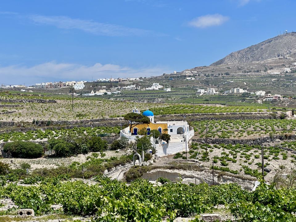 vignes santorin