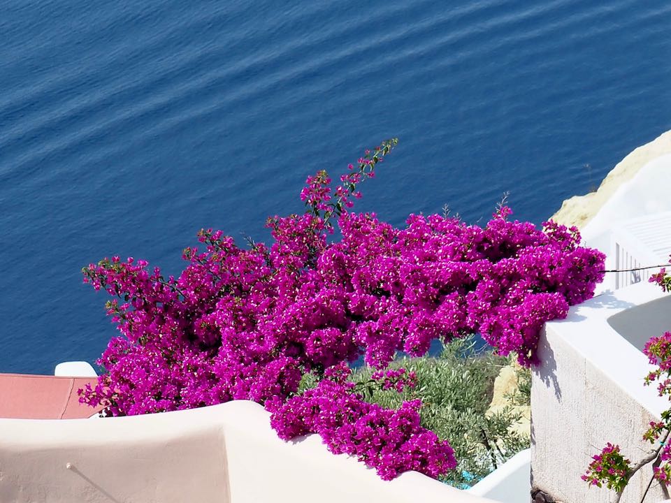 oia santorin