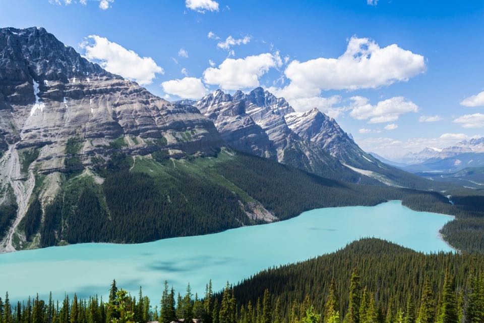 parc national de banff lac peyto