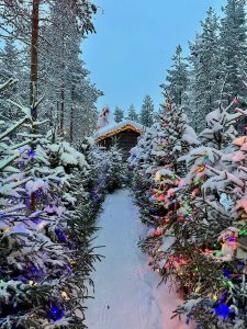 que faire a rovaniemi