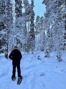 raquettes rovaniemi