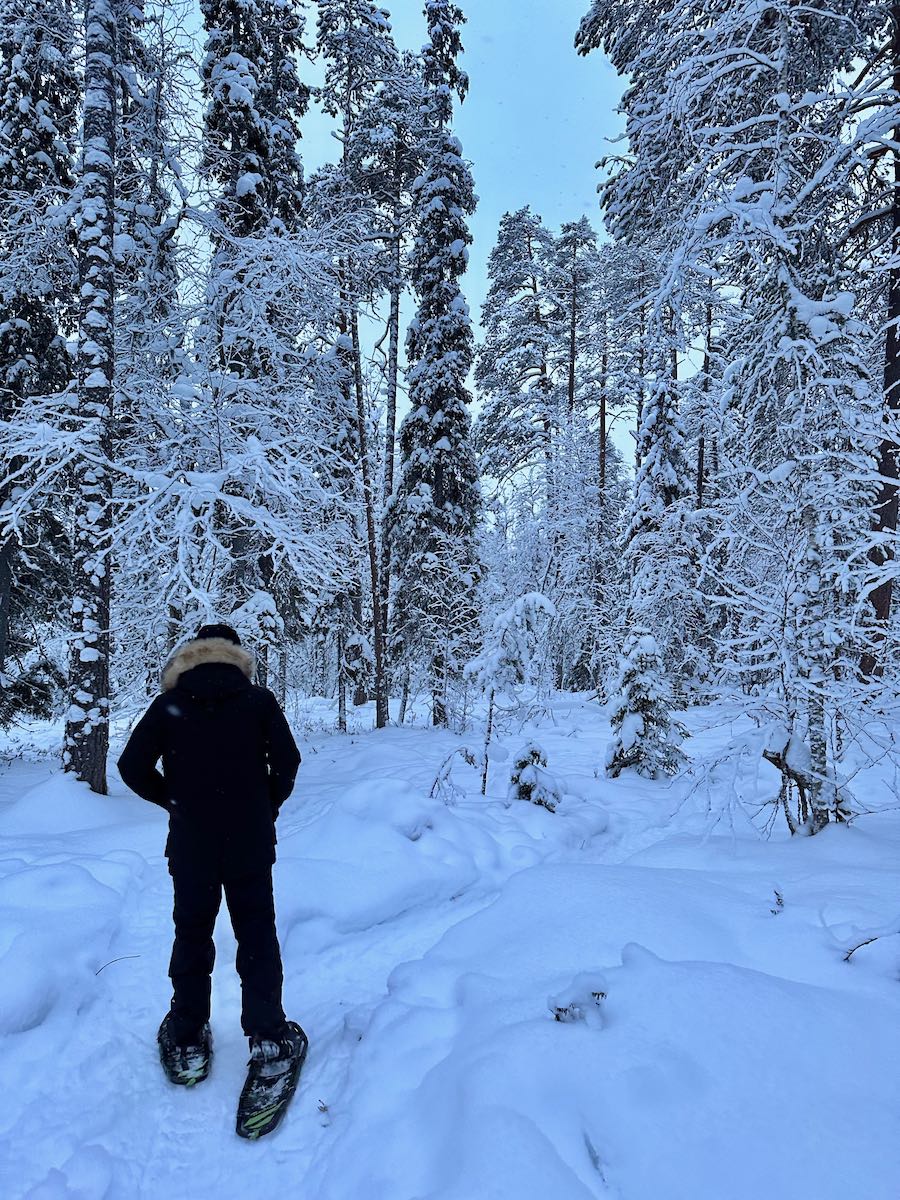 raquettes rovaniemi