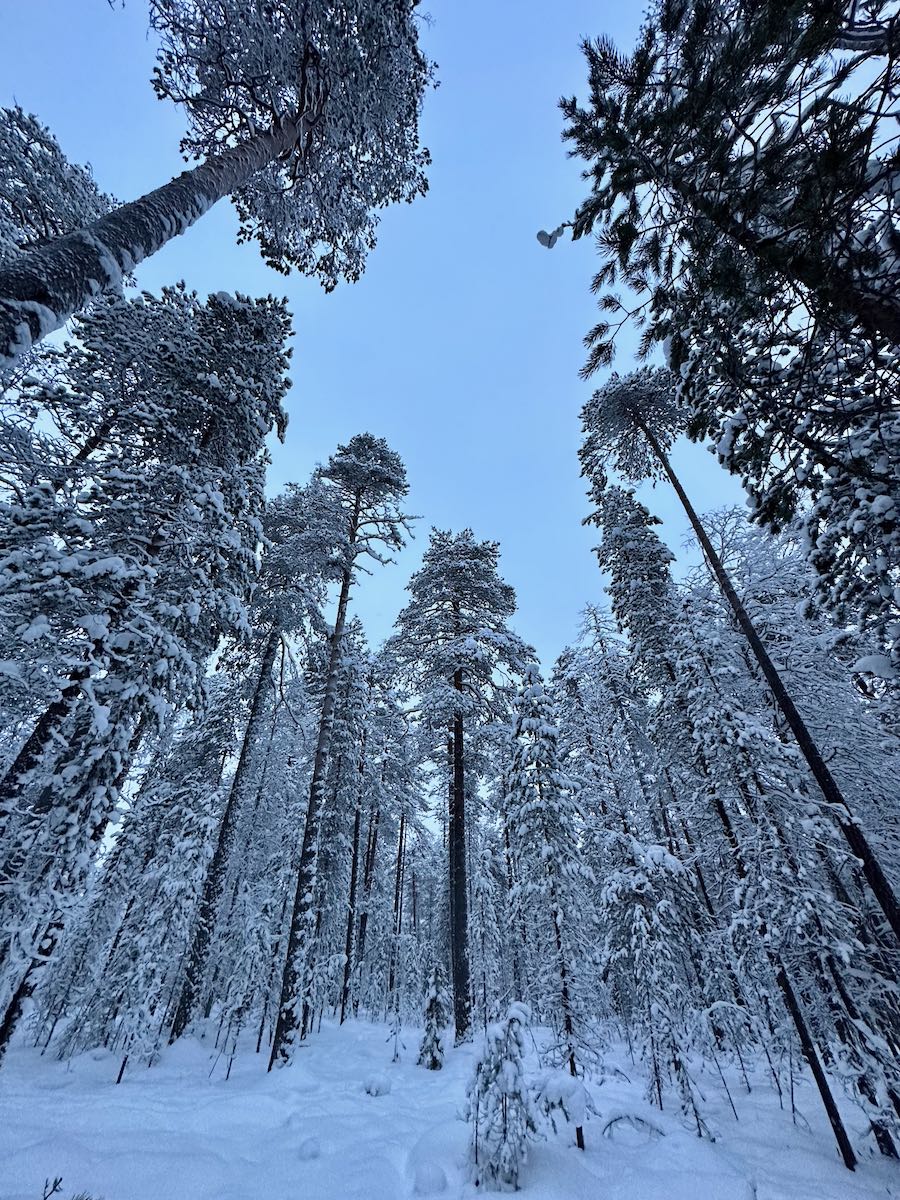 raquettes rovaniemi