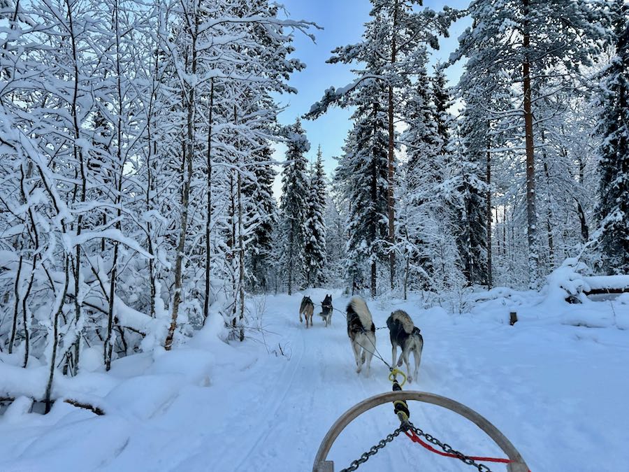 que faire a rovaniemi