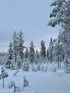 faire motoneige rovaniemi