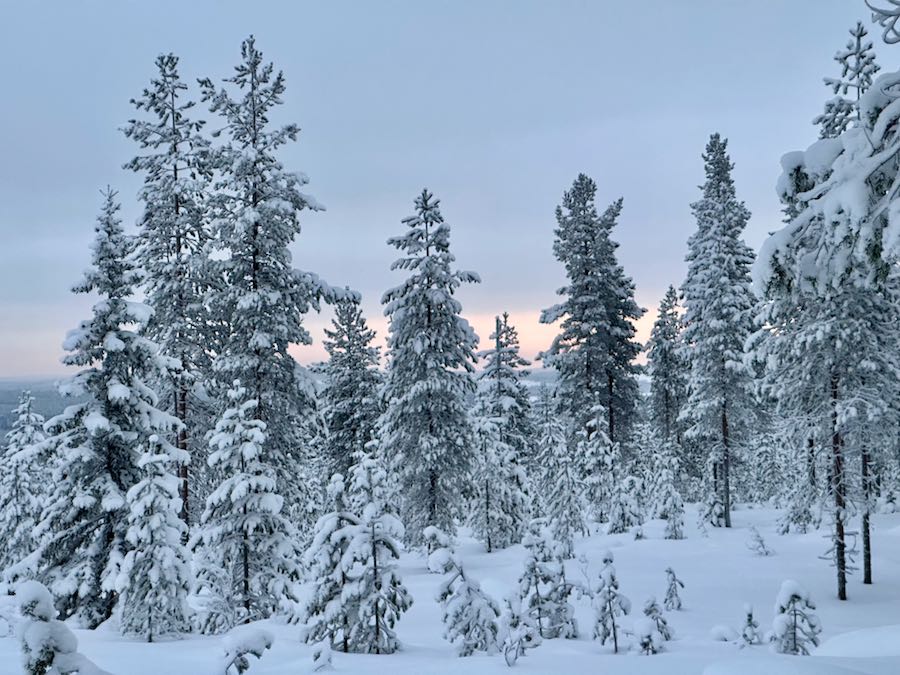 QUE FAIRE LEVI LAPONIE FINLANDAISE