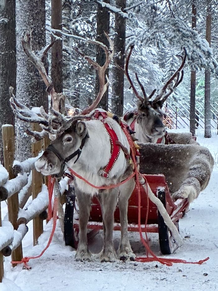 noel en laponie en famille