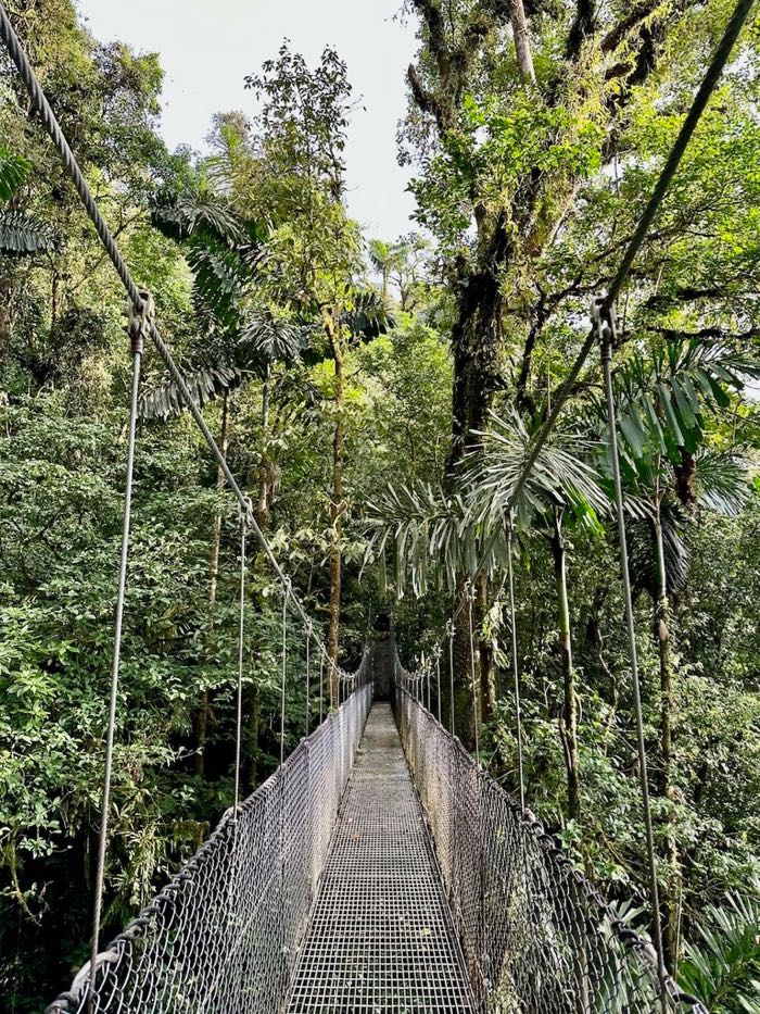 3 SEMAINES AU COSTA RICA ITINERAIRE