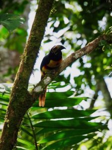 reserve la fortuna