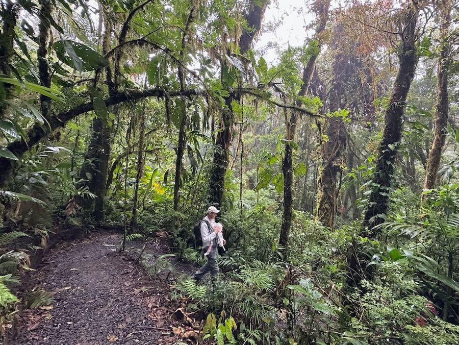 foret santa elena monteverde