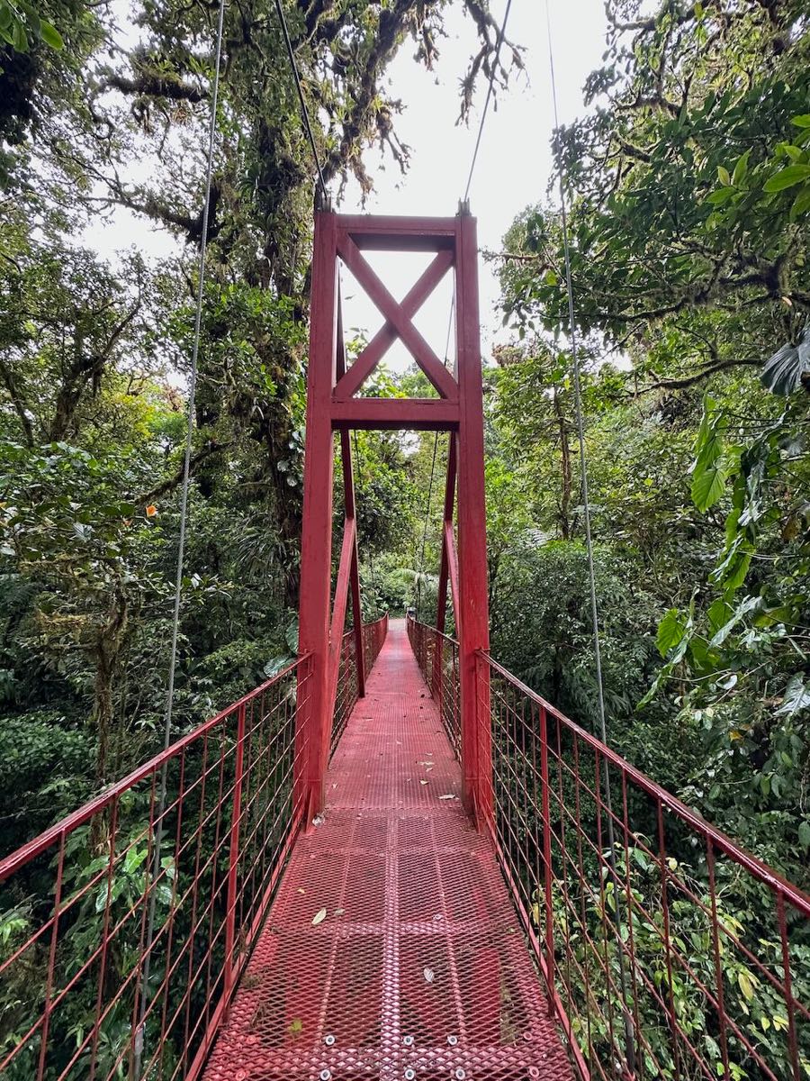 foret de nuages monteverde