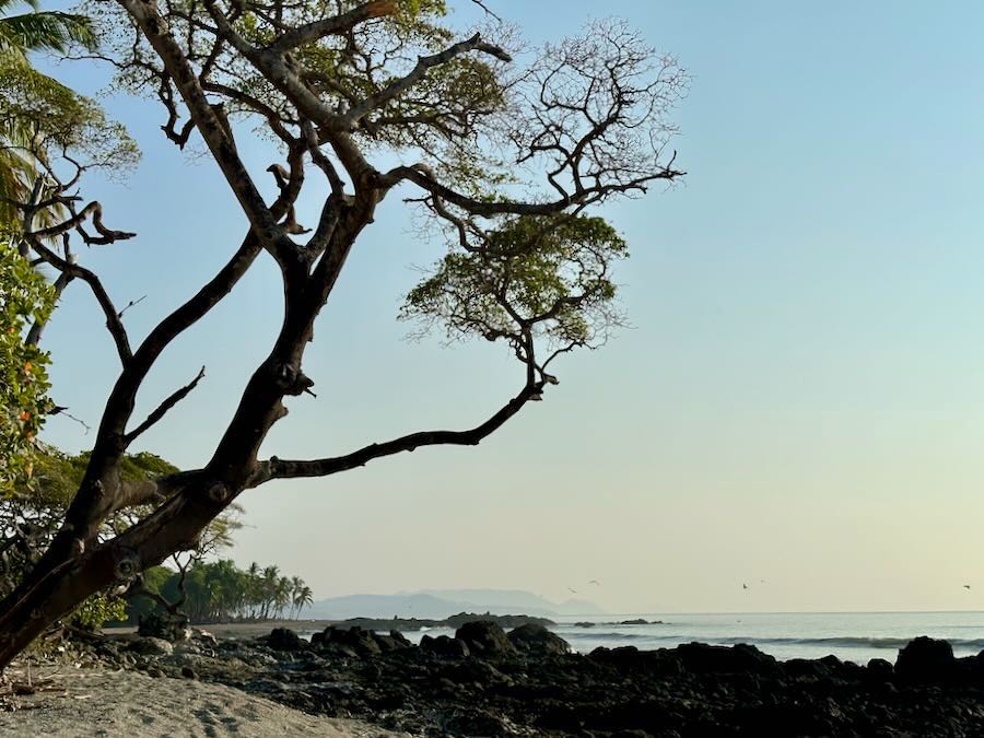 plage montezuma costa rica