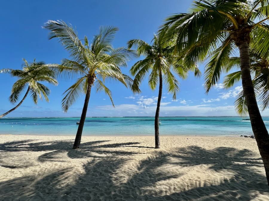 bonnes adresses ile maurice