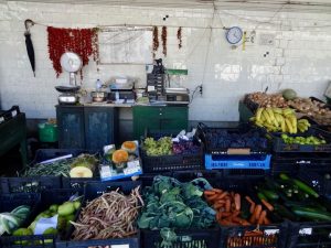 que faire à porto