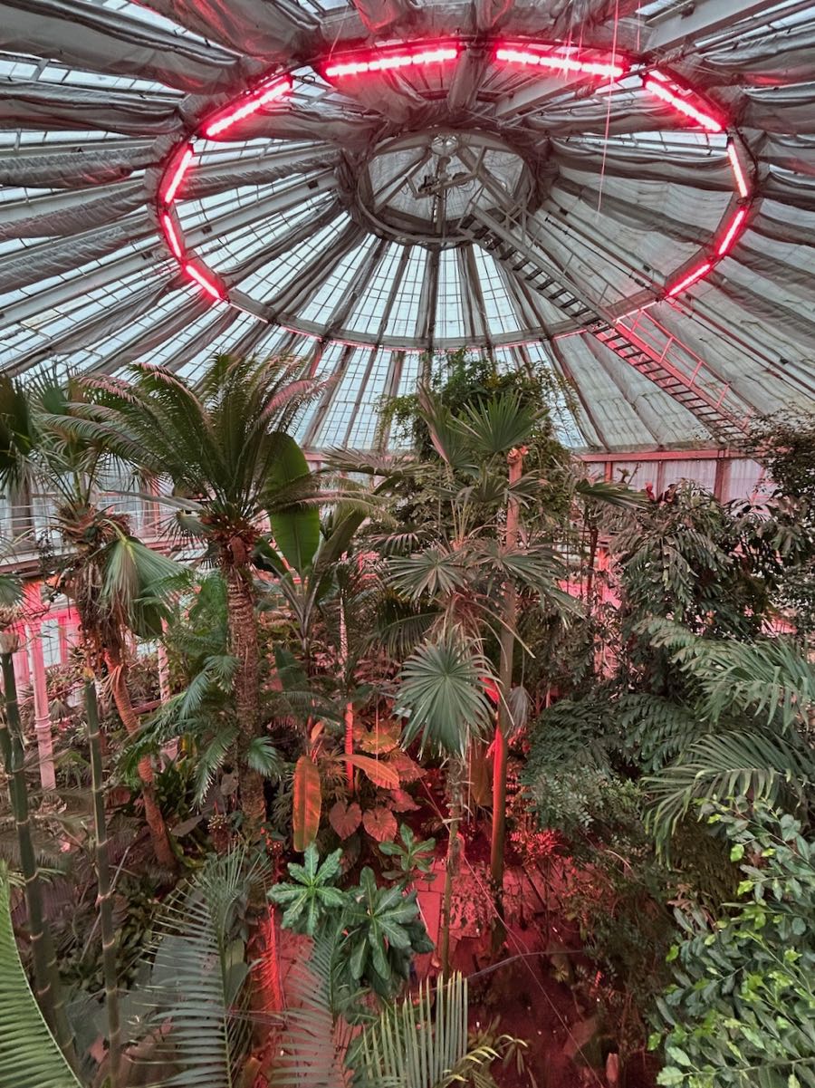 jardin botanique copenhague