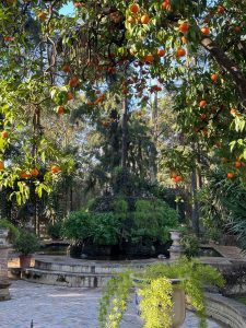 alcazar seville en famille