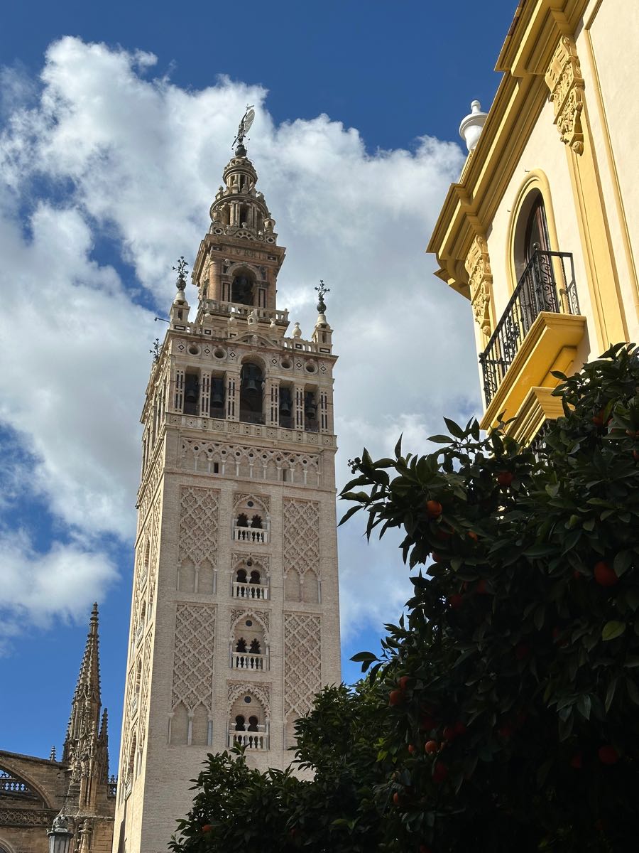 santa cruz seville