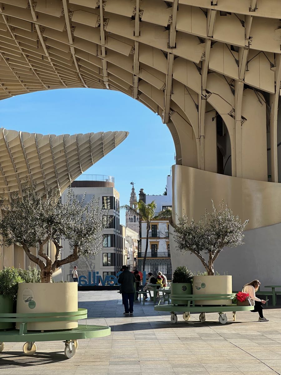 metropol parasol seville