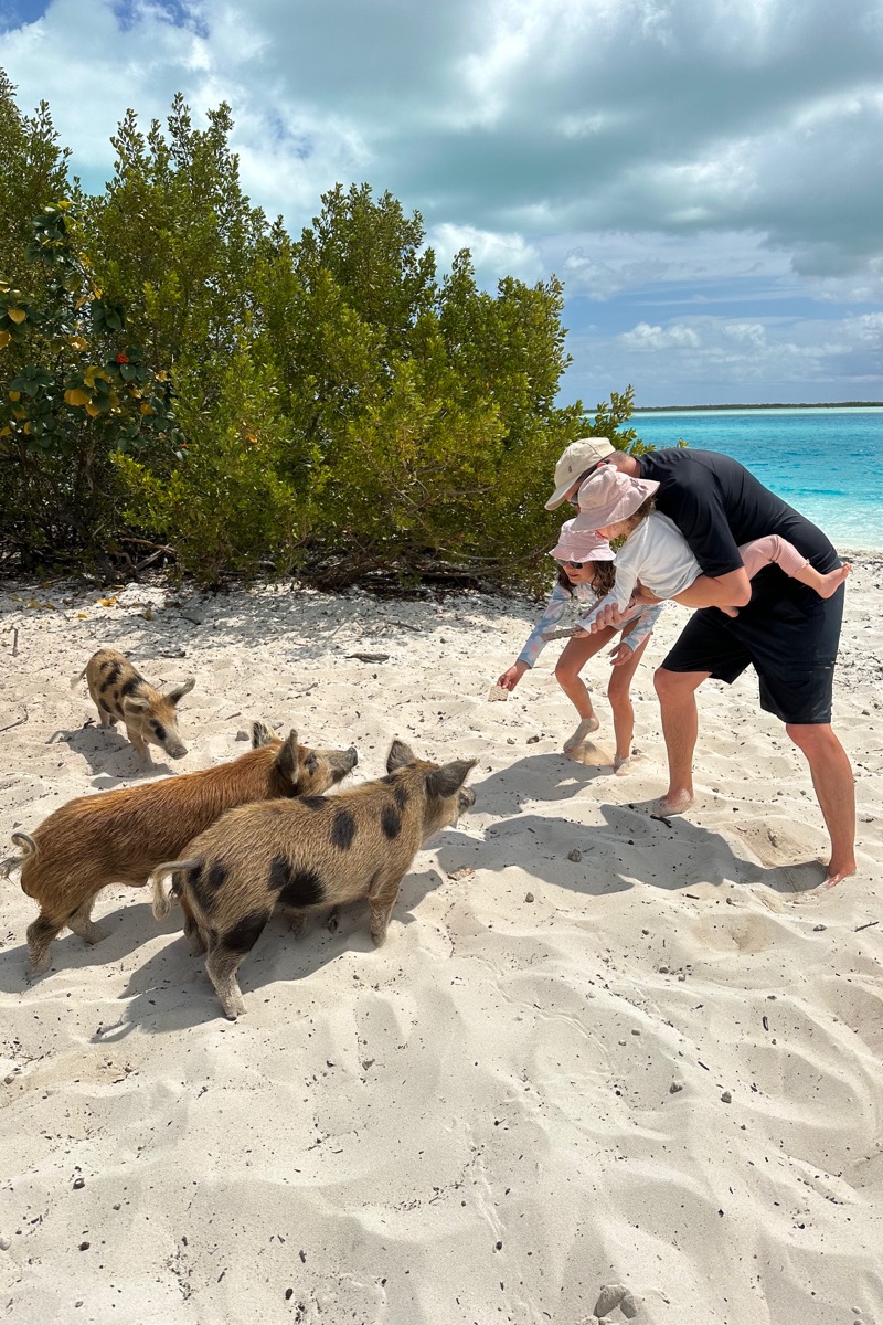 SWIMMINGS PIGS EXUMA