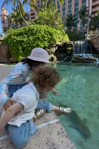 Atlantis bahamas