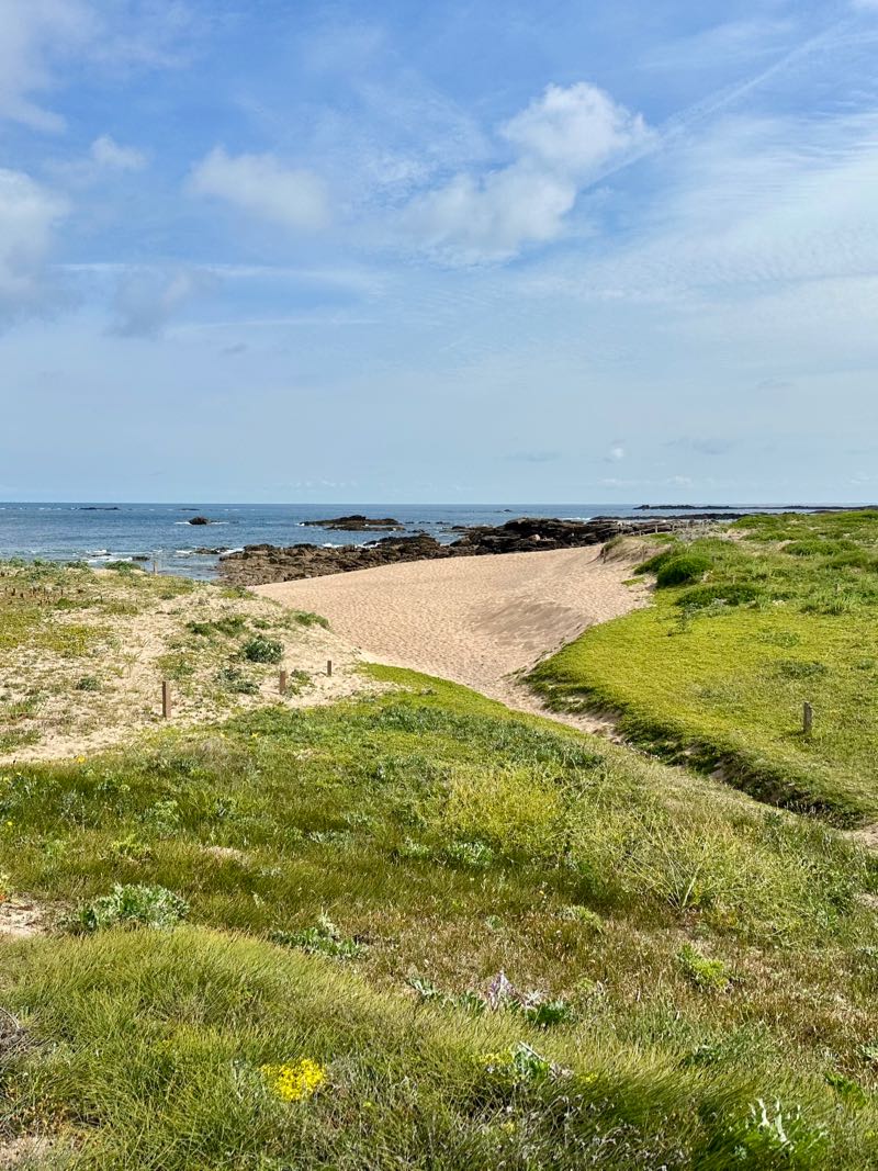 POINTE DU BUT ILE YEU