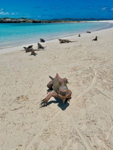 exuma cays