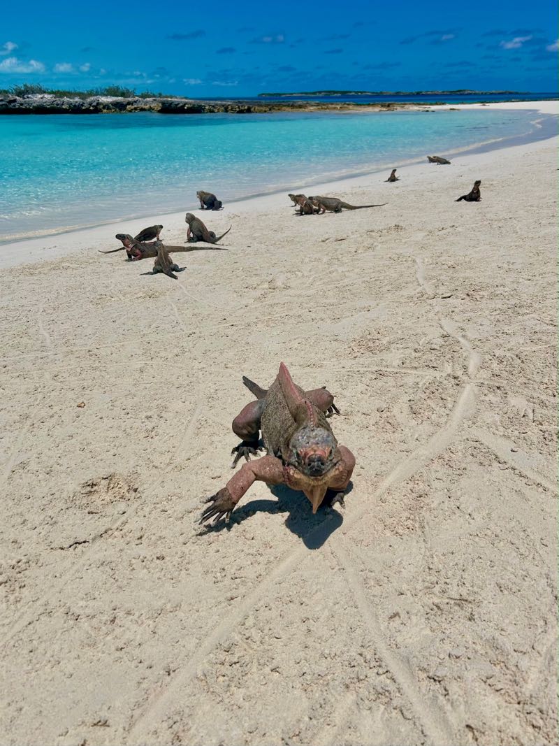 exuma cays