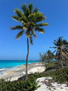 ou dormir aux bahamas en famille