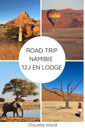 road trip namibie